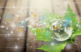 Regenerative Business & New Economy Regenerative Business & New Economy