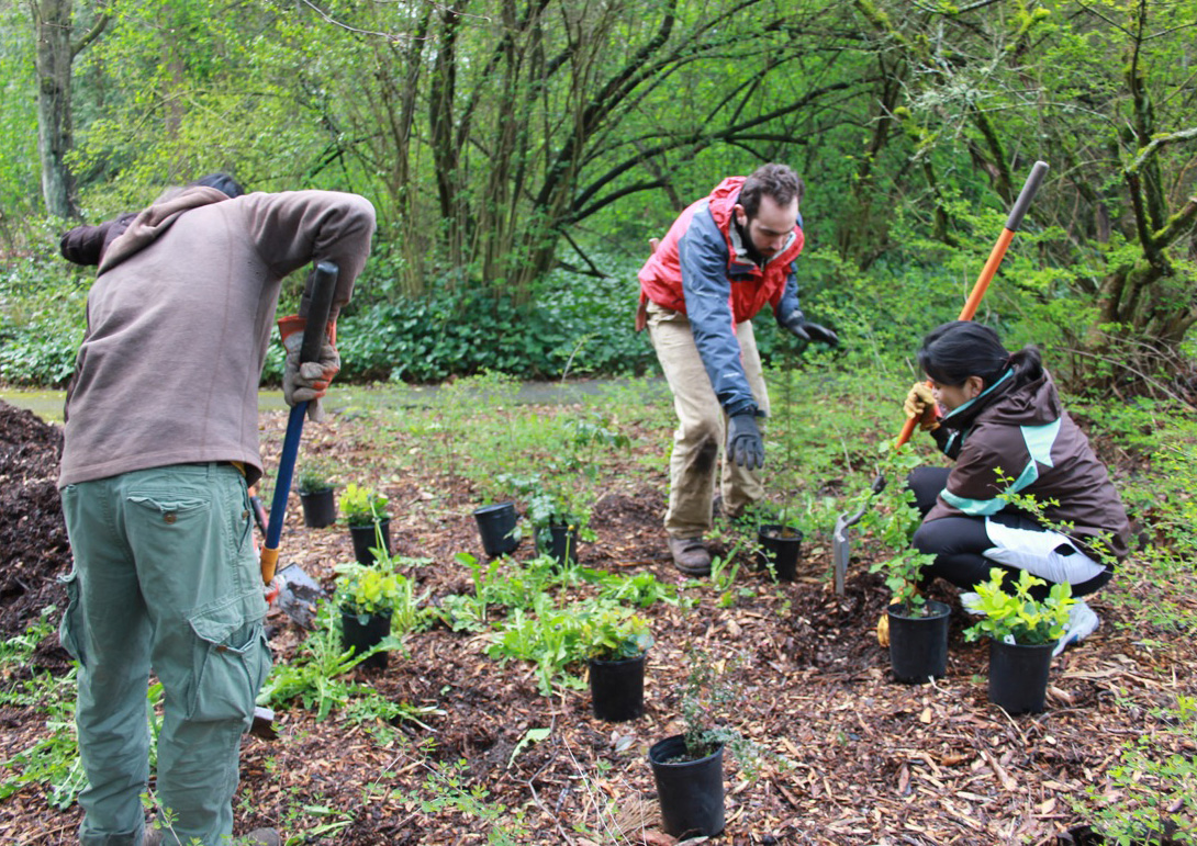 You are currently viewing Ecological Restoration, Earth Repair and Permaculture: Setting up a working group