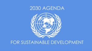Read more about the article Organize for the 2030 Agenda for Sustainable Development