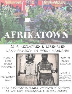 Read more about the article Afrikatown Community Garden