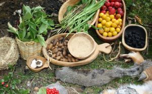 Cooking with Acorns: From Foraging to Feasting