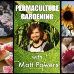 Read more about the article Permaculture Gardening – From Biointensive to Natural Farming