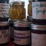 Read more about the article Creating an Herbal Apothecary