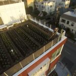 New Systems for Urban Agriculture