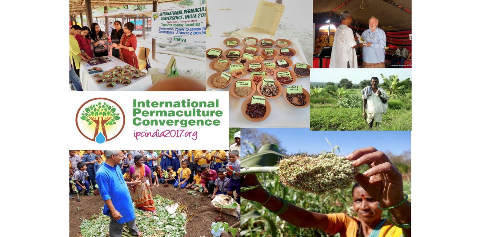 You are currently viewing Diversity of Participants, Diversity of Ideas, Diversity of Solutions from Around the Globe: Come Learn About the International Permaculture Convergences