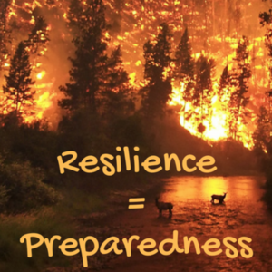 Emergency Preparedness = Community Resilience