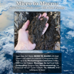 Read more about the article Micro to Macro: Soil Science Made Easy with Matt Powers