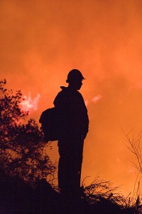 Read more about the article Raging Wildfires in California: Destruction Through Mismanagement