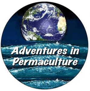 Read more about the article Adventures in Permaculture