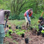 Read more about the article Ecological Restoration, Earth Repair and Permaculture: Setting up a working group