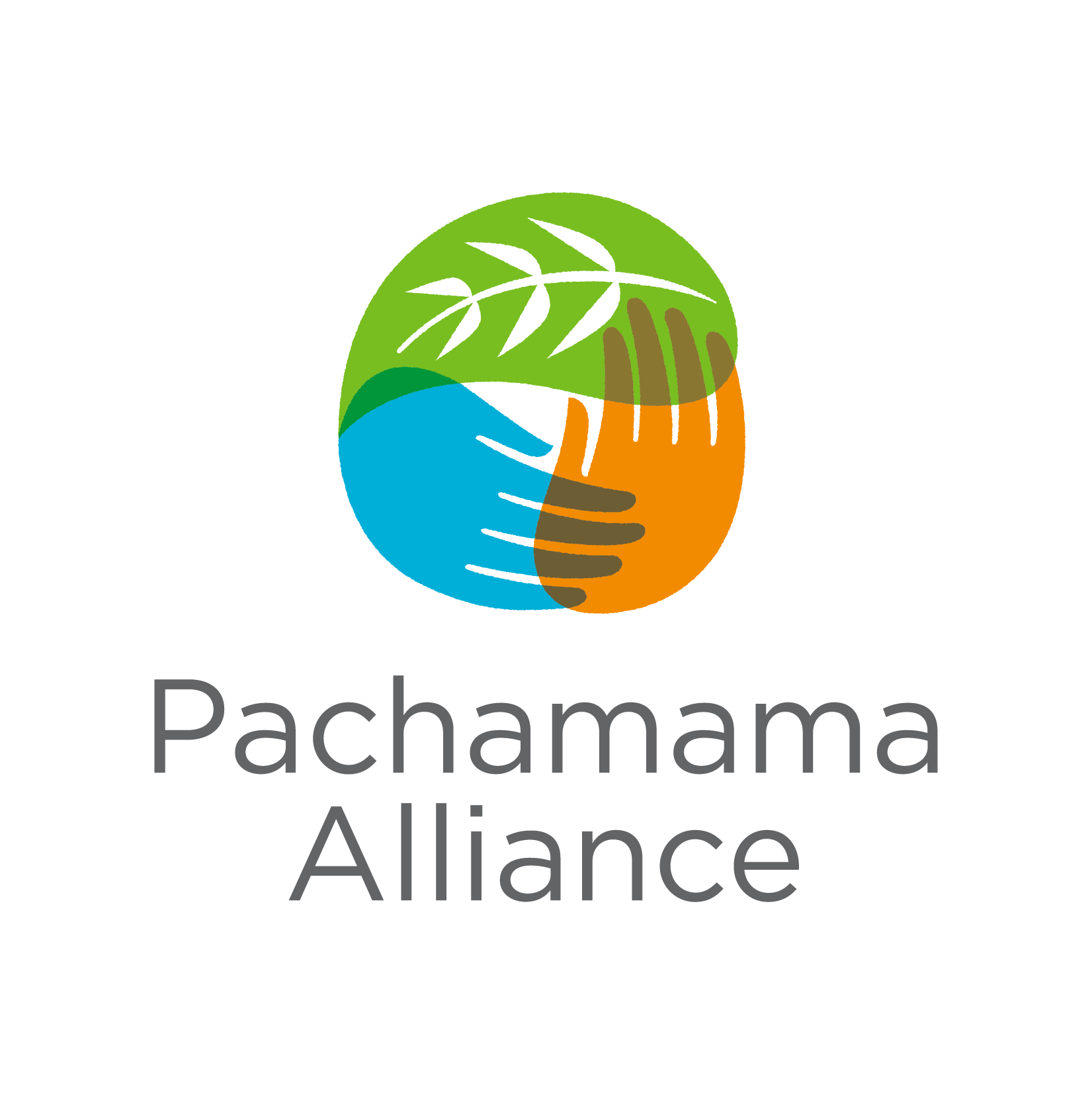 You are currently viewing The Pachamama Alliance