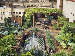 Read more about the article Urban Permaculture: From Toronto to Tel Aviv