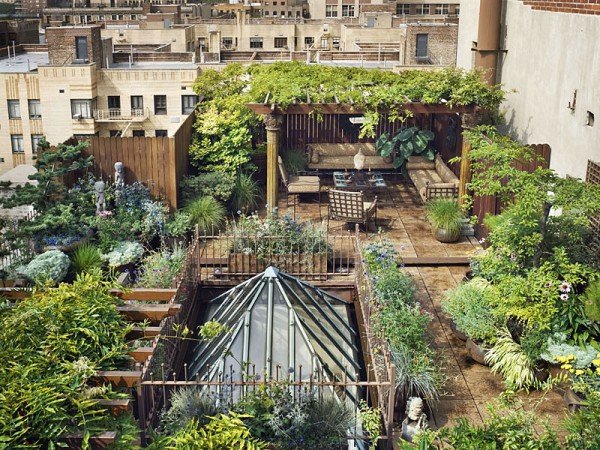 You are currently viewing Urban Permaculture: From Toronto to Tel Aviv