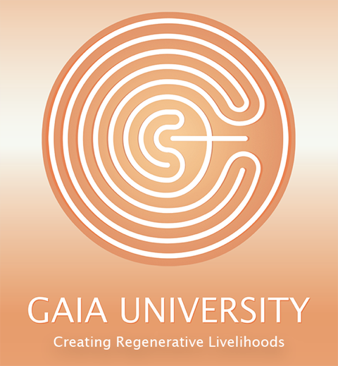 You are currently viewing Gaia University