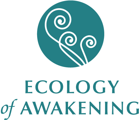 You are currently viewing Ecology Of Awakening