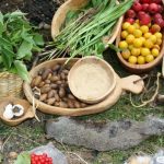Read more about the article Cooking with Acorns: From Foraging to Feasting