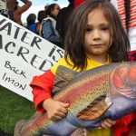 Read more about the article Bring Back the Salmon! A Call to Action from Chief Caleen Sisk of the Winnemem Wintu Tribe