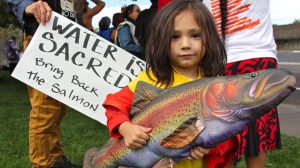 Read more about the article Bring Back the Salmon! A Call to Action from Chief Caleen Sisk of the Winnemem Wintu Tribe