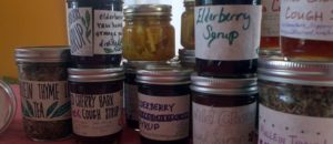 Read more about the article Creating an Herbal Apothecary