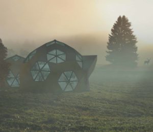 Read more about the article Geoship – Bioceramic Geodesic Architecture