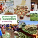 Read more about the article Diversity of Participants, Diversity of Ideas, Diversity of Solutions from Around the Globe: Come Learn About the International Permaculture Convergences