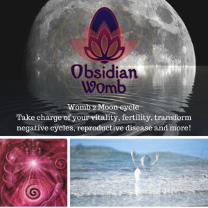 Read more about the article Your Moon 2 Womb Cycle