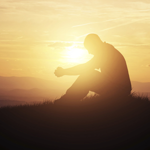 Read more about the article Men’s Ecological Grief Circle